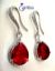 Red Seed Earrings گوشواره تخمه قرمز